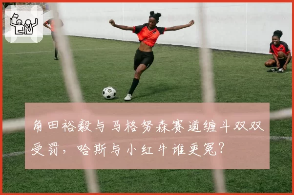 角田裕毅与马格努森赛道缠斗双双受罚，哈斯与小红牛谁更冤？