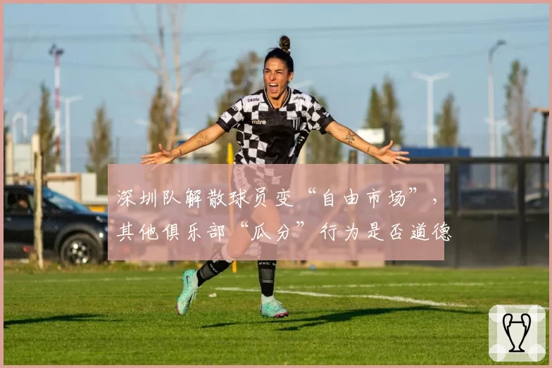 深圳队解散球员变“自由市场”，其他俱乐部“瓜分”行为是否道德？