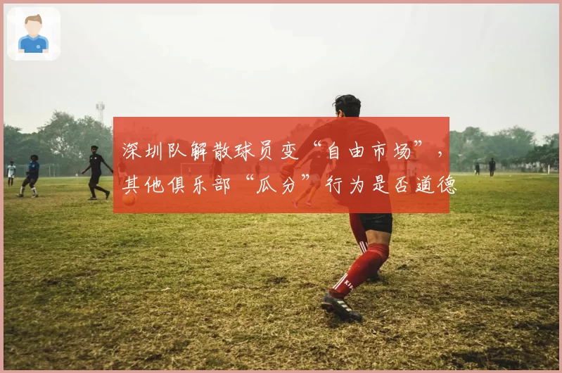 深圳队解散球员变“自由市场”，其他俱乐部“瓜分”行为是否道德？