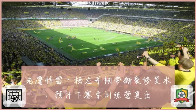 老鹰特雷·杨左手韧带撕裂修复术后，预计下赛季训练营复出