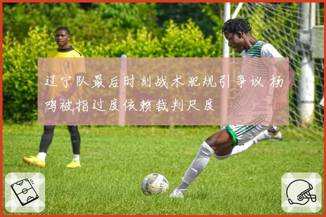 辽宁队最后时刻战术犯规引争议 杨鸣被指过度依赖裁判尺度